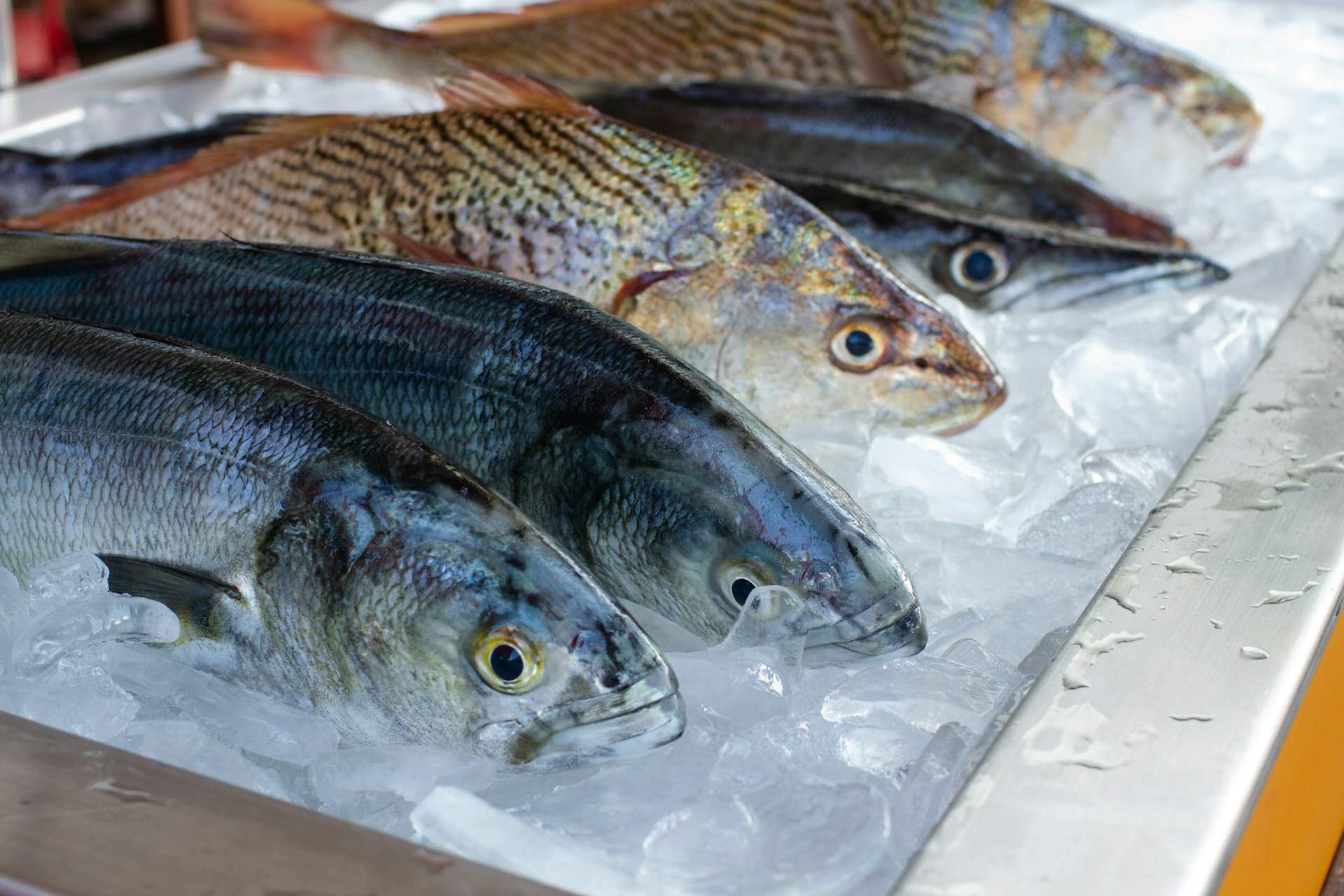 Els 3 trucs de peixater per saber si un peix és fresc