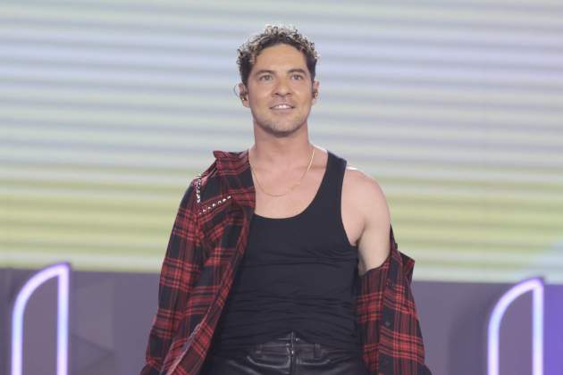 David Bisbal / Gtres