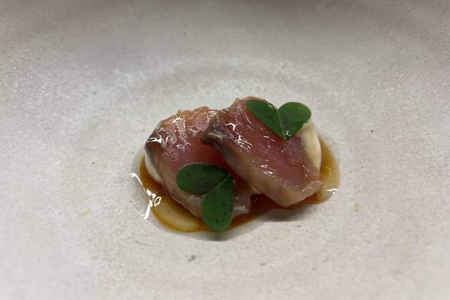 Bonito macerado con miso y emulsión de las cabezas|cabos|jefes Taberna Noroeste Rosa Molinero Trias