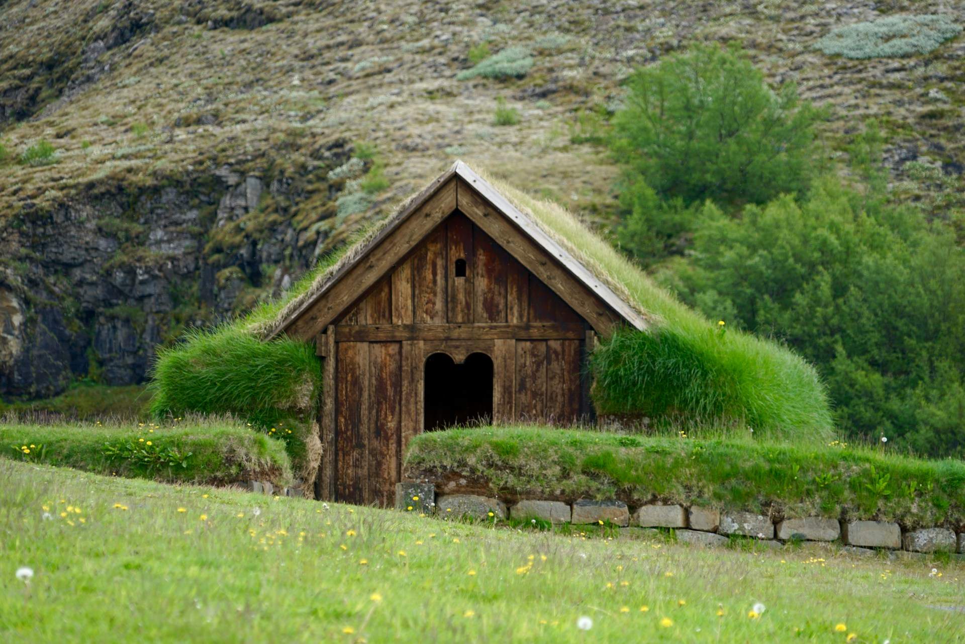 Adelantan 18.000 euros para construir una casa de madera y 6 meses después solo hay una caseta para el perro