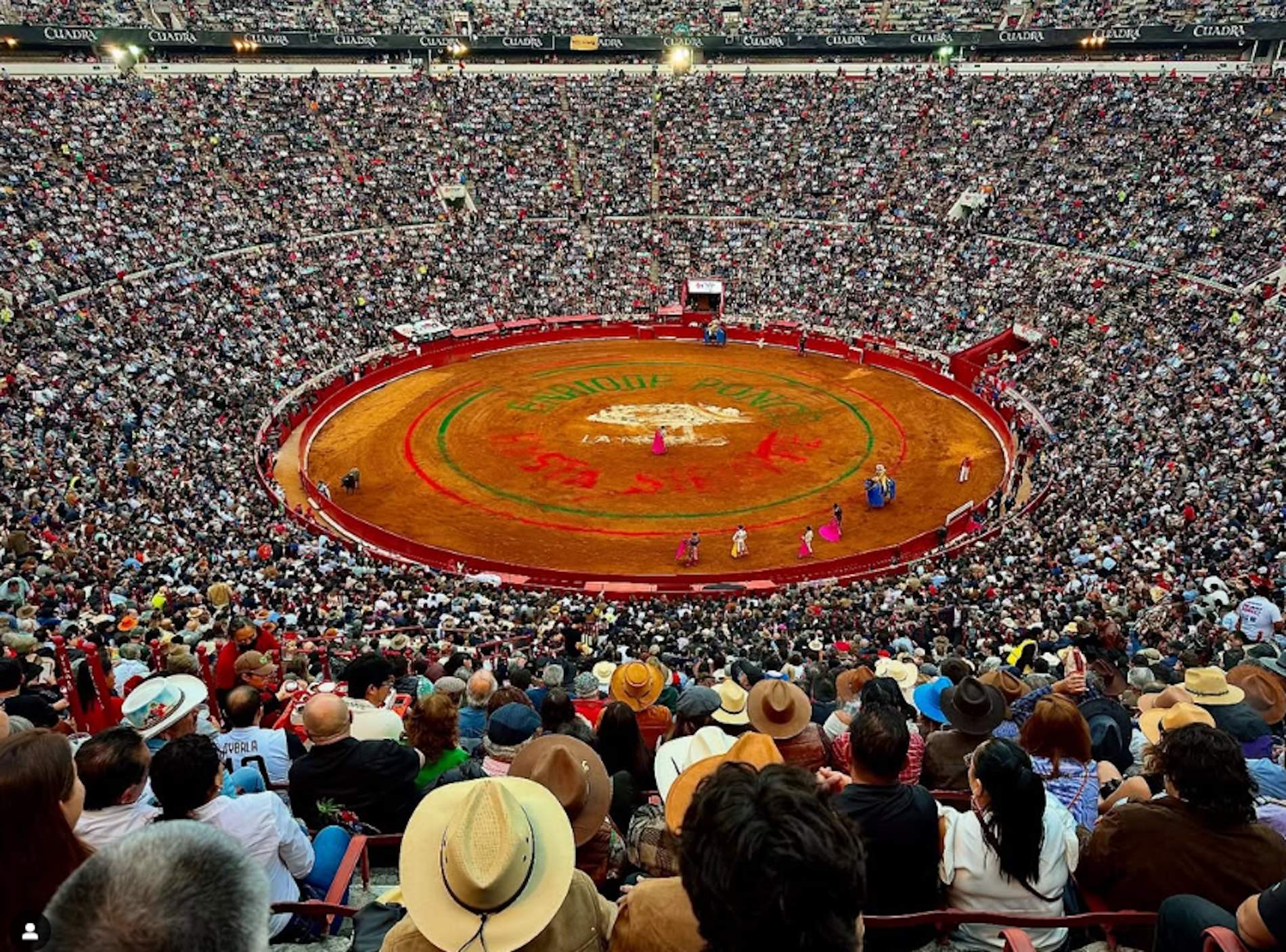 Tauromàquia sense violència a Ciutat de Mèxic: una llei prohibeix matar o ferir als toros