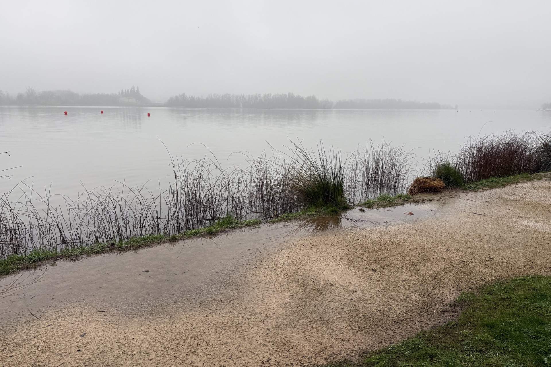 L'estany de Banyoles a punt de desbordar: setze dies seguits de pluja fan pujar el nivell de l'aigua