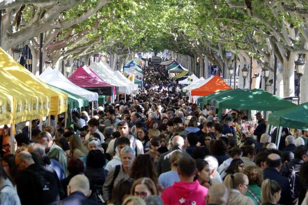 Sant Jordi 2025 lleida rambla francesc macià Sant Jordi 2025 lleida rambla francesc macià