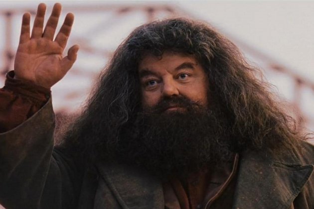 hagrid 2 harry potter