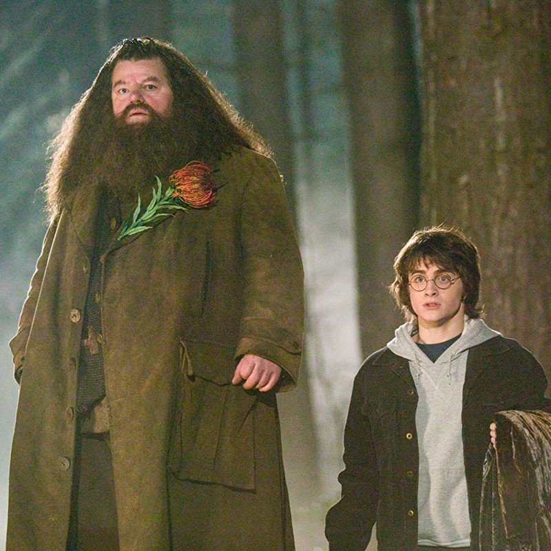 harry potter hagrid