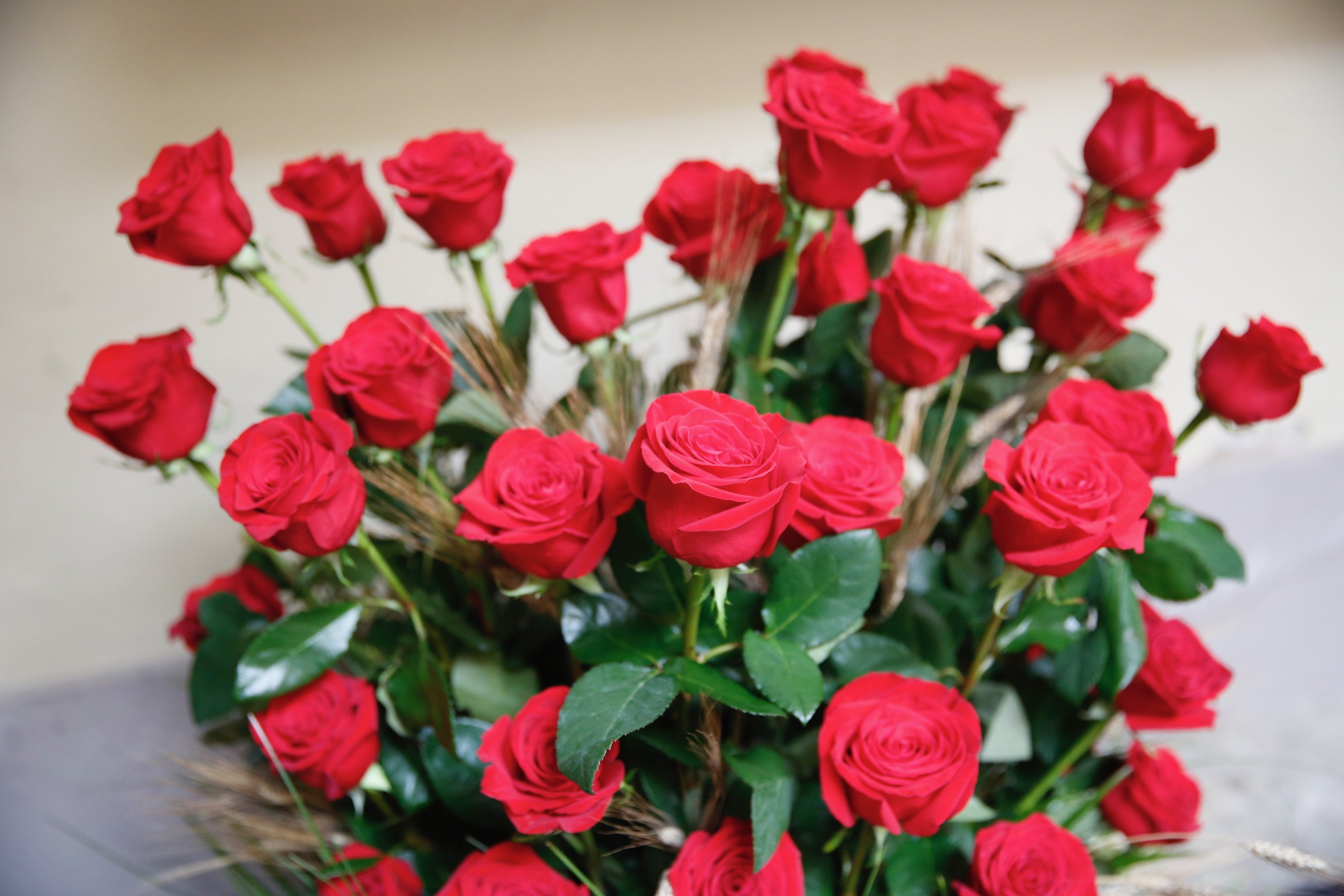El significado real del color rojo de la rosa de Sant Jordi