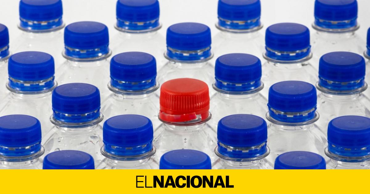 Los Plásticos Libres De Bisfenol A También Pueden Ser Dañinos Para Tu Salud