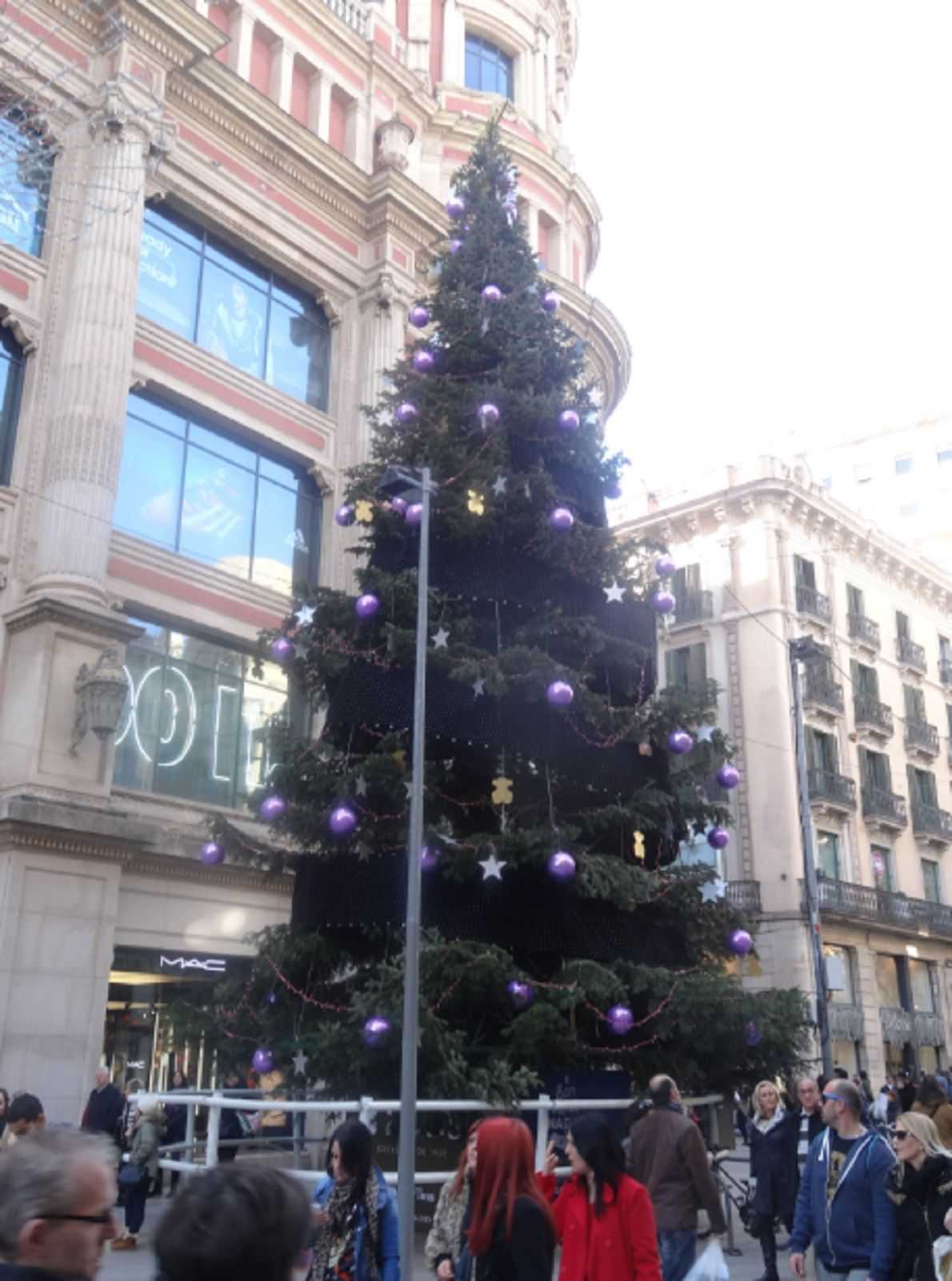 ¿Qué hacer ahora con tu árbol de Navidad?