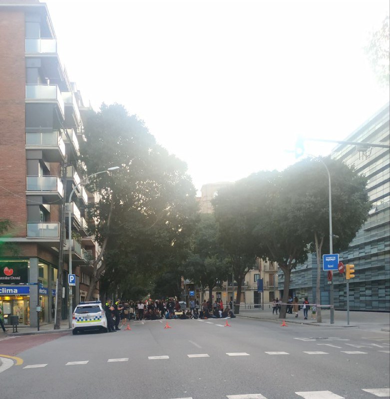 manifestacio comissaria les corts - anonymous